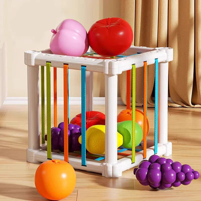 Fruit Box™ - Snijden, Spelen, Leren - Fruit in box