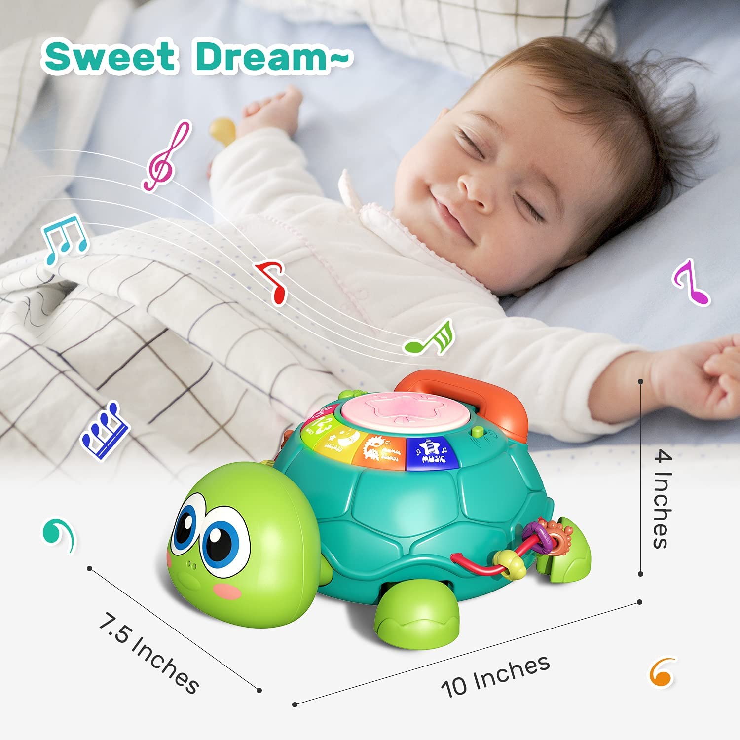 Fidtoy Tortue Rampante Musicale Jouet Bébé