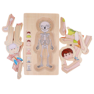 Onshine Puzle de anatomía 3D de madera - Juguetes de motricidad fina