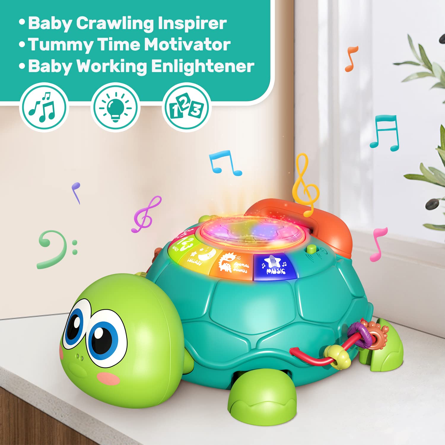 Juguete musical Fidtoy Crawling Turtle para bebé