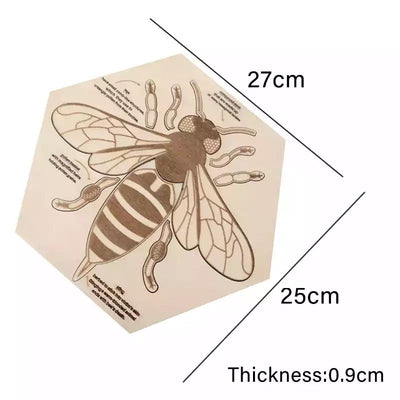 Rompecabezas de anatomía de abeja de madera