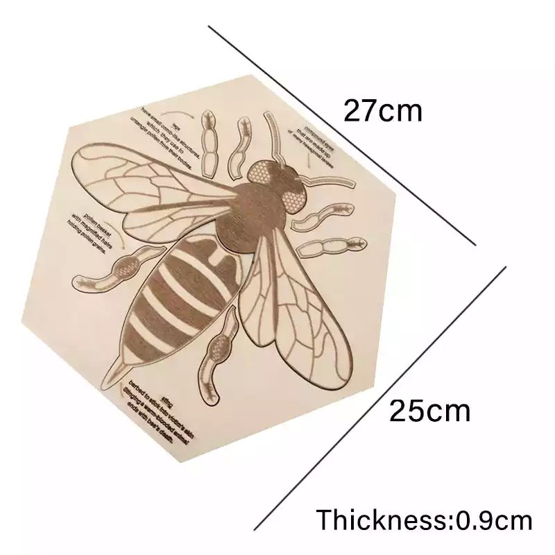 Rompecabezas de anatomía de abeja de madera