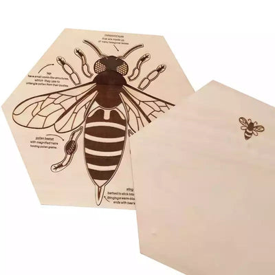 Rompecabezas de anatomía de abeja de madera