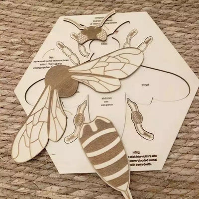 Rompecabezas de anatomía de abeja de madera