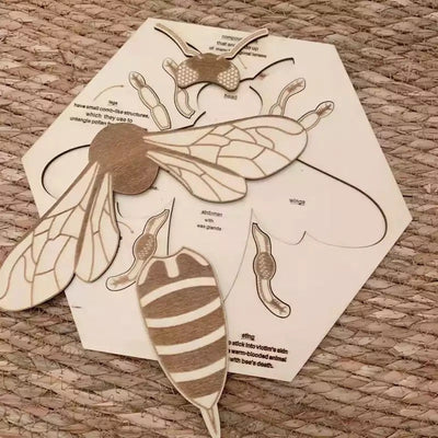 Rompecabezas de anatomía de abeja de madera