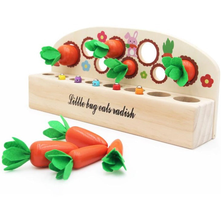 Carottes en bois et jeu de pêche magnétique – Jouets de motricité fine
