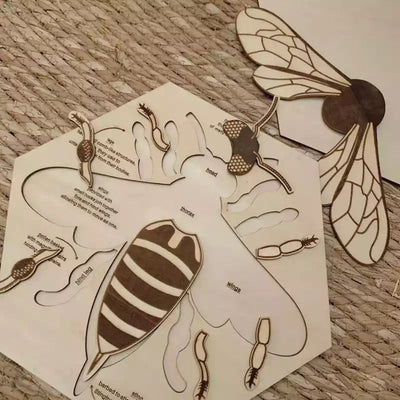 Rompecabezas de anatomía de abeja de madera