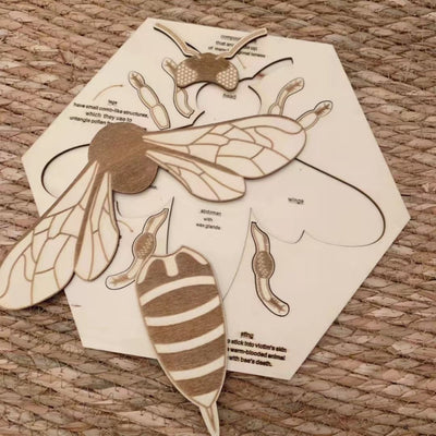 Rompecabezas de anatomía de abeja de madera