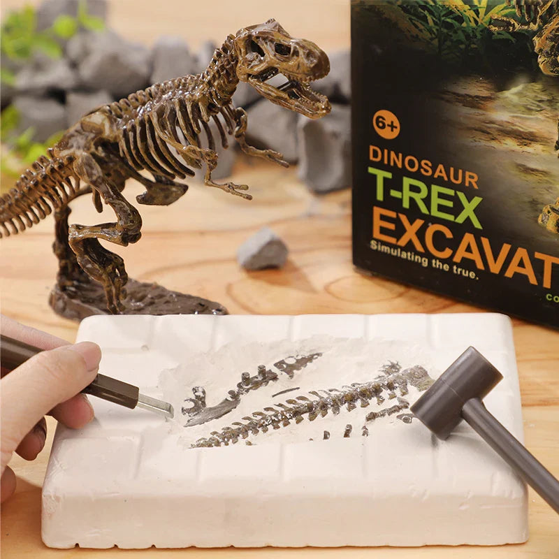 DinoDig – Spannend en leerzaam – Fossielenopgravingsset