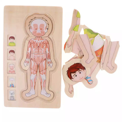 Onshine Puzle de anatomía 3D de madera - Juguetes de motricidad fina