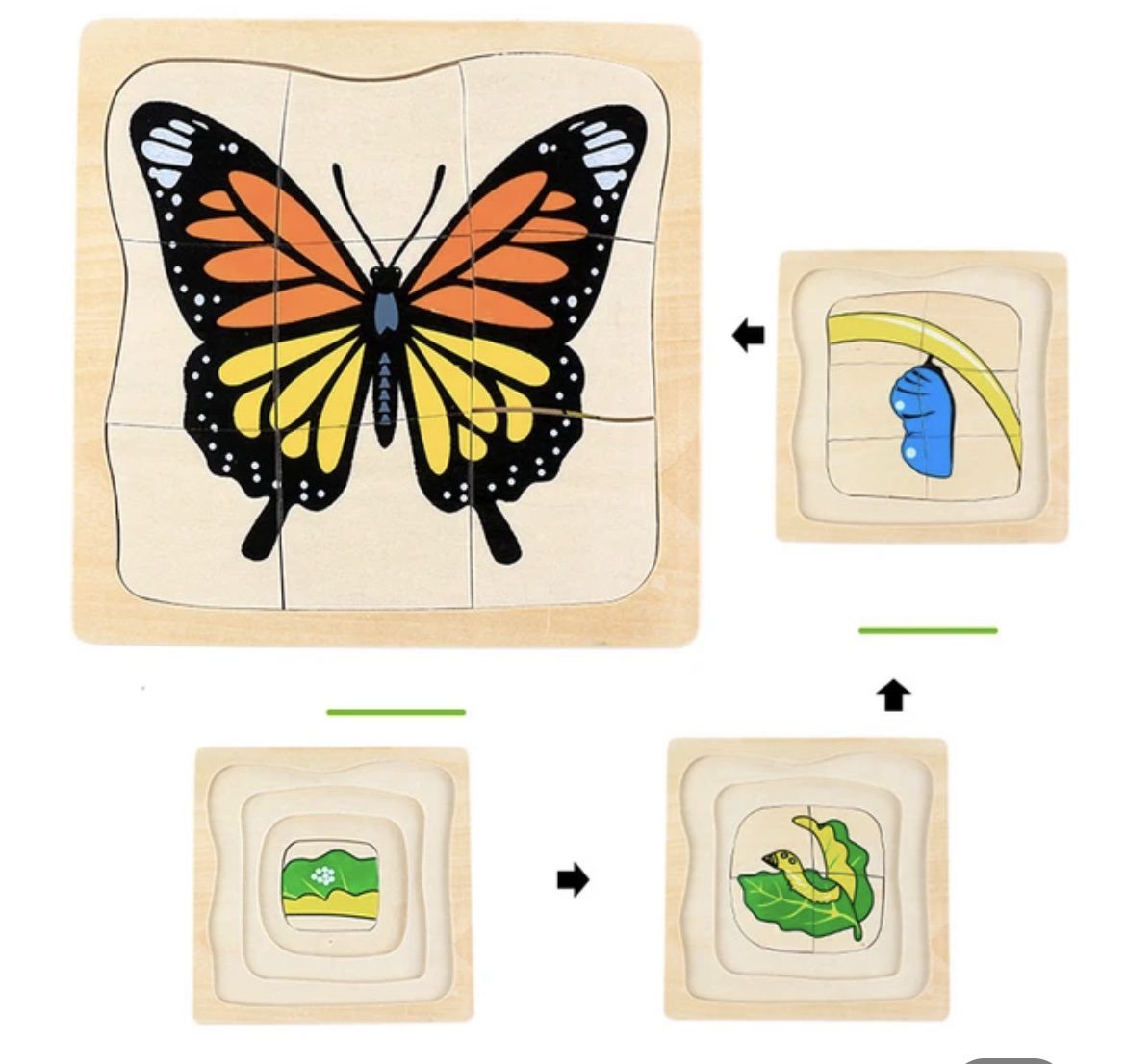 Rompecabezas de madera Montessori de ciclo de vida en capas - Mariposa