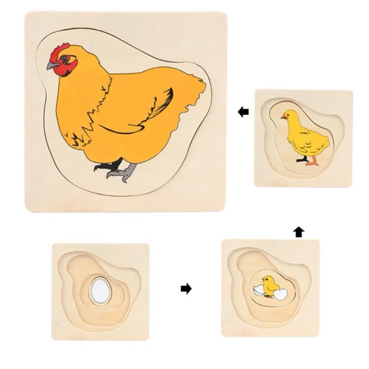Puzle de ciclo de vida de madera Montessori por capas - Gallina