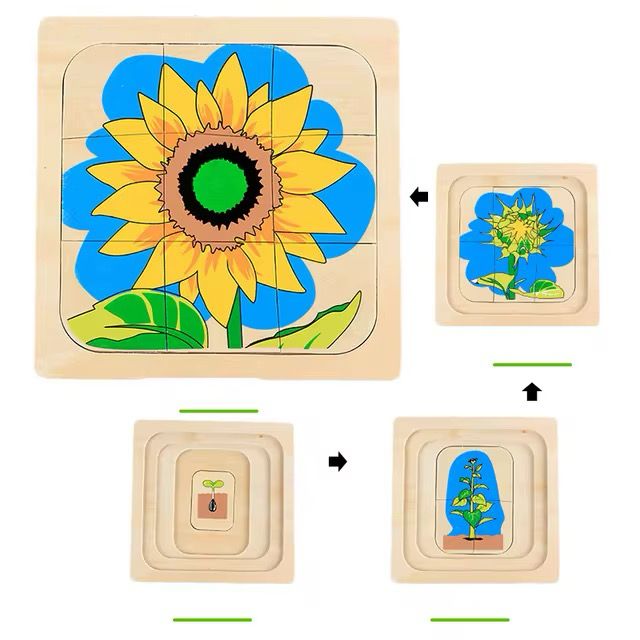 Rompecabezas Montessori de madera con capas del ciclo de vida - Girasol