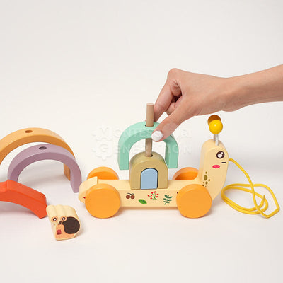 Caracol de arrastre Montessori